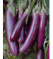 Brinjal F1 Himansh 20 grams